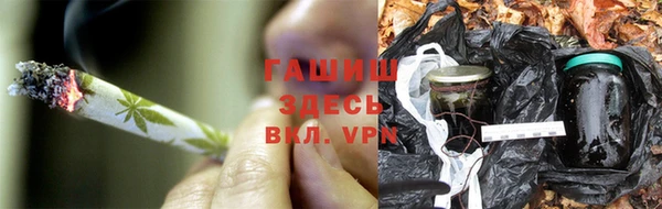 эйфоретик Вяземский