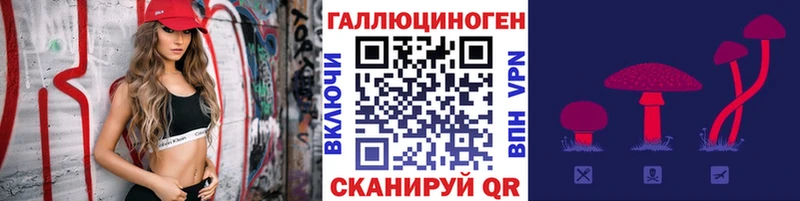 Купить где  Кохма  Псилоцибиновые грибы Magic Shrooms 